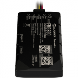 GPS-������ ��� ���� Teltonika FMB930 - �������� 4