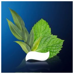 Зубна паста Oral-B Pro-Science Відновлення емалі Делікатне відбілювання 75 мл (8001090247582) - Картинка 5