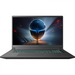 ������� Thunderobot 911 X17 (911X17-i7136H56C1Q165MB)