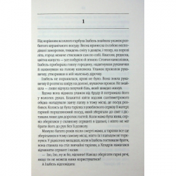 Книга Таємний сховок - Яель ван дер Вуден КСД (9786171516755) - Картинка 4