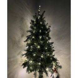 �������� Luca Lighting ������, 1 �, �������� ���, 10 LED 2xCR2032 (8718861660623) - �������� 5