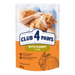     Club 4 Paws     85  (4820269142510)