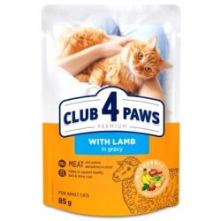 ������� ���� ��� ���� Club 4 Paws � ����� � ���� 85 � (4820269142558)