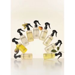 ���������� ������� Sister's Aroma ����� � ������ ��������������� ����� ��� ������� � �������� 230 �� (4820227785995) - �������� 3