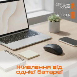 ����� Meetion BTM100 Wireless/Bluetooth/USB Black (MT-BTM100-A) - �������� 6