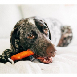 ������� ��� ����� Petstages Mesquite Dogwood ó��� (� �������� �������) 13.5 �� (0700603301435) - �������� 3