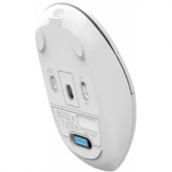 Мишка A4Tech FG16CS Air2 Wireless White (4711421998604) - Картинка 9