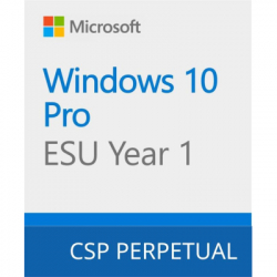 ������������ ������� Microsoft Windows 10 ESU Year 1 (2025 - 2026) Extended Security Updates (ESU) (DG7GMGF0SSGZ_0004)