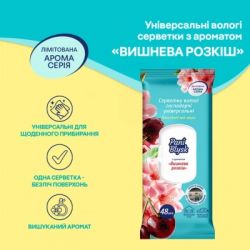 Серветки для прибирання Pani Blysk Вологі універсальні Східна таємниця 48 шт. (4823071670905) - Картинка 2