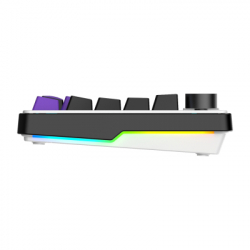 ��������� Hator Hellyberry HK75 Mechanical Linear RGB Wireless/Bluetooth/USB UA White/Violet (HK75_wireless) - �������� 7