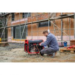 ��������� Einhell TC-PG 8000 3-������, 230V/400V, 8.0�kW, ��������������, AVR 25� (4152640) - �������� 6