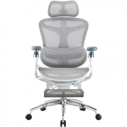 ������ ����� Sihoo ����� ������ � ��������� ��� ��� Sihoo DORO C300 Pro Mesh White with (DORO-C300-PRO-M102-JT)