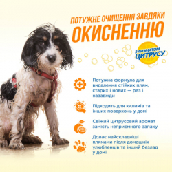Спрей для тварин OUT! Orange Oxy Stain & Odor Remover для видалення плям і запаху від життєдіяльності собак та котів 9 (0010279700624) - Картинка 2