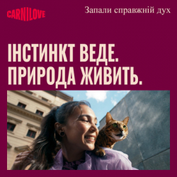 Сухий корм для кішок Carnilove True Fresh Beef Sterilised 2 кг (8595602582174) - Картинка 9