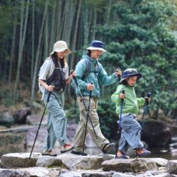 Треккинговые палки Naturehike CNK2550DS010 55-120 см зелена 1 шт (6977465869371) - Картинка 7