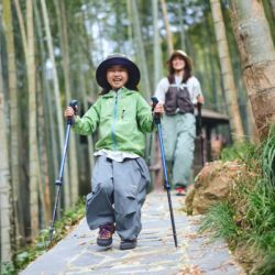 Треккинговые палки Naturehike CNK2550DS010 55-120 см зелена 1 шт (6977465869371) - Картинка 9