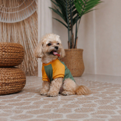Футболка для тварин Pet Fashion Kent XS2 (4823082446162) - Картинка 3