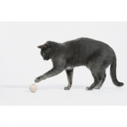 Іграшка для котів Cheerble Wicked Ball M3 (Apricot Beige) (CWQ02A) - Картинка 10