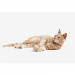 Іграшка для котів Cheerble Wicked Ball M3 (Apricot Beige) (CWQ02A) - Картинка 11