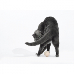 Іграшка для котів Cheerble Wicked Ball M3 (Apricot Beige) (CWQ02A) - Картинка 9
