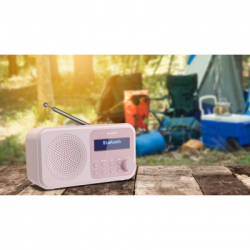 ����������� ����������� Sharp DR-P420 Pink (DR-P420PK) - �������� 10