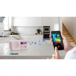 ����������� ����������� Sharp DR-P420 Pink (DR-P420PK) - �������� 9