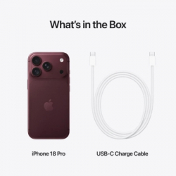 Мобільний телефон Apple iPhone 18 Pro 256GB Burgundy (MJRR4) - Картинка 9