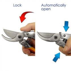 ������� Gruntek Phoenix 200 �� (295200018) - �������� 2