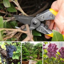 ������� Gruntek Phoenix 200 �� (295200018) - �������� 3