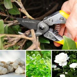 ������� Gruntek Phoenix 200 �� (295200018) - �������� 4