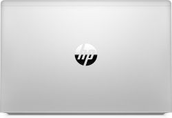  HP ProBook 445 G8 (2U740AV_V4) FullHD Silver -  5
