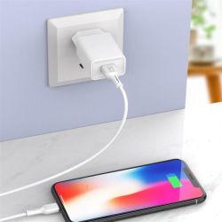   SkyDolphin SC36L (1USB, 2.4A) White (MZP-000116) +  Lightning -  4