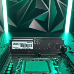   DDR5 16GB/5600 Patriot Signature Line (PSD516G560081) -  2