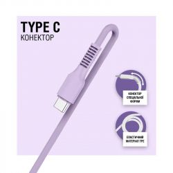  ACCLAB AL-CBCOLOR-T1PP USB-USB Type-C 1.2 Purple (1283126518270) -  3