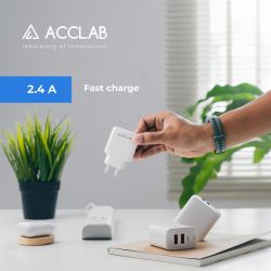 Зарядное устройство AccLab AL-TC224 2хUSB 5В/2,4A/12W White (1283126538834) - Картинка 6