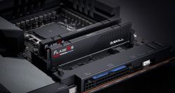  DDR5 2x24GB/5600 G.Skill Flare X5 (F5-5600J4040D24GX2-FX5) -  4