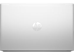  HP ProBook 455 G10 (719F6AV_V1) Silver -  5