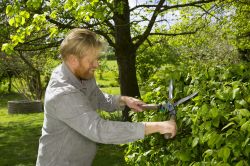 Ножницы для живой изгороди Gardena NatureCut (12300-20.000.00) - Картинка 3