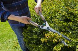 Ножницы для живой изгороди Gardena NatureCut (12300-20.000.00) - Картинка 6