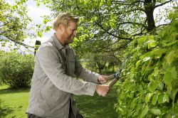 Ножницы для живой изгороди Gardena NatureCut (12300-20.000.00) - Картинка 7