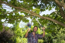 �������� ��� ������� ����� Gardena EasyCut 680 B, �������, 42 �� (12003-20.000.00) - �������� 7