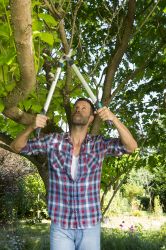 �������� ��� ������� ����� Gardena EasyCut 680 B, �������, 42 �� (12003-20.000.00) - �������� 8