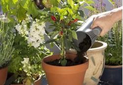 �������� ������� ������������ Gardena Classic Ergo (���.8950, 8754, 11511) � ������ (08966-30.000.00) - �������� 6