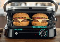 ����� Gorenje GCG2100S - �������� 15