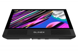 IP  Slinex Sonik 10 (silver + black) -  4
