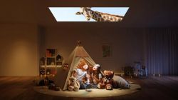 ��������� ������������� ��� ���������� XGiMi ����� MoGo � Halo (D185S) Dark Grey - �������� 11