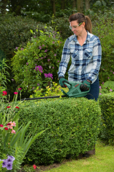 ������ Bosch EasyHedgeCut 55 450�� 55�� ���� ��� 16�� 2.7��(0.600.847.C02) - �������� 4