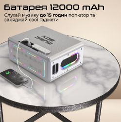 ������������ ������� HiFuture MusicBox 100W Silver (musicbox.silver) - �������� 2