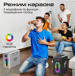 ������������ ������� HiFuture MusicBox 100W Silver (musicbox.silver) - �������� 4