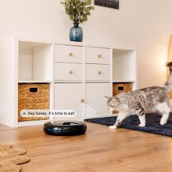 Дозатор для корму Cecotec Comedero dispensador Pumba 1600 (CCTC-09562) - Картинка 5